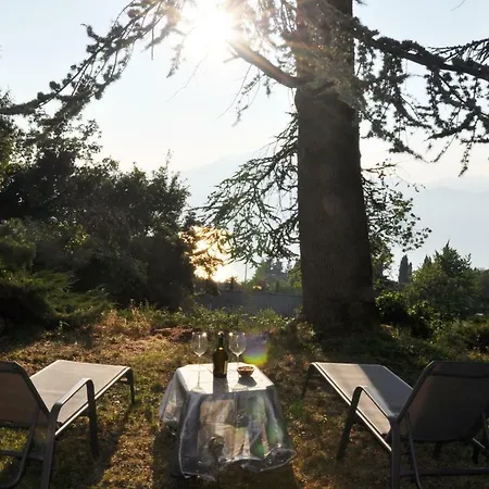 Ca' Del Bosco Holiday
